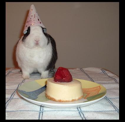 bday_bunny.jpg
